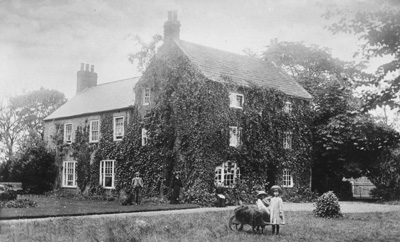 rand grange in the 1920s