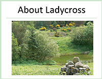 About Ladycross
